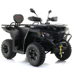 QUAD ASIX CYBER 250CM3