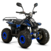 QUAD XTR BIG FOOT 125 - obrazek 13