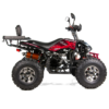 QUAD XTR RAPTOR 250 - obrazek 2