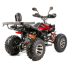 QUAD XTR RAPTOR 250 - obrazek 3