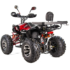QUAD XTR RAPTOR 250 - obrazek 4