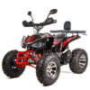 QUAD XTR RAPTOR 250 - obrazek 6