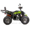 QUAD XTR RAPTOR 250 - obrazek 8