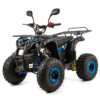 QUAD XTR PHYTON 8 125 - obrazek 6