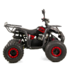 QUAD XTR PHYTON 8 125 - obrazek 8