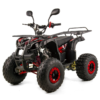 QUAD XTR PHYTON 8 125 - obrazek 12