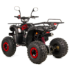 QUAD XTR PHYTON 8 125 - obrazek 10