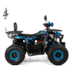QUAD XTR STORM PRO 125 - obrazek 8