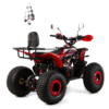 QUAD XTR RAPTOR PRO 125 - obrazek 9