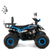 QUAD XTR RAPTOR PRO 125 - obrazek 14
