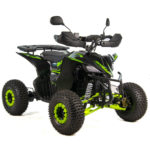 QUAD XTR RAPTOR / REVOLT PRO 1200W/48V