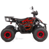 QUAD XTR RAPTOR / REVOLT PRO 1500W/60V - obrazek 2
