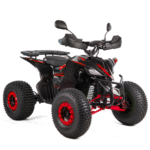 QUAD XTR RAPTOR / REVOLT PRO 1500W/60V