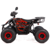 QUAD XTR RAPTOR / REVOLT PRO 1500W/60V - obrazek 4