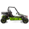 ASIX BUGGY 200 - obrazek 2
