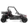 ASIX BUGGY 200 - obrazek 8