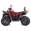 QUAD ASIX TYTAN 200RR - obrazek 5