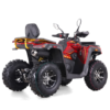 QUAD ASIX TYTAN 200RR - obrazek 3