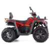 QUAD ASIX TYTAN 200RR - obrazek 2