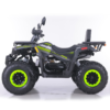 QUAD ASIX RANGER 250 - obrazek 5