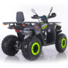 QUAD ASIX RANGER 250 - obrazek 3