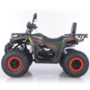 QUAD ASIX RANGER 250 - obrazek 12