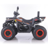 QUAD ASIX RANGER 250 - obrazek 19