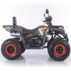 QUAD ASIX RANGER 250 - obrazek 16