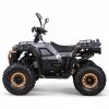 QUAD ASIX GRIZZLY 125 4T - obrazek 12