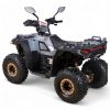 QUAD ASIX GRIZZLY 125 4T - obrazek 10