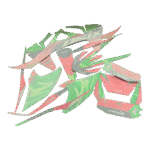 ZESTAW NAKLEJEK NA POJAZD CROSS 140CC CZER-CZ