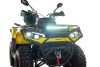 QUAD ASIX GLADIATOR 300 4T - obrazek 17