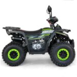 ZESTAW NAKLEJEK NA POJAZD QUAD ATV 125CC LIMONKA
